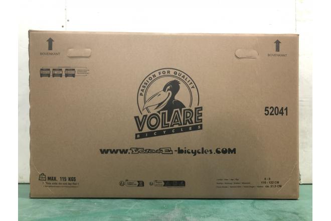 Volare Blossom Kinderfahrrad - Mädchen - 20 Zoll - Rosa - Zweihandbremsen